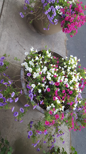 Day Care Center «Kids R Kids Johns Creek Parkway», reviews and photos, 3835 Johns Creek Pkwy, Johns Creek, GA 30024, USA