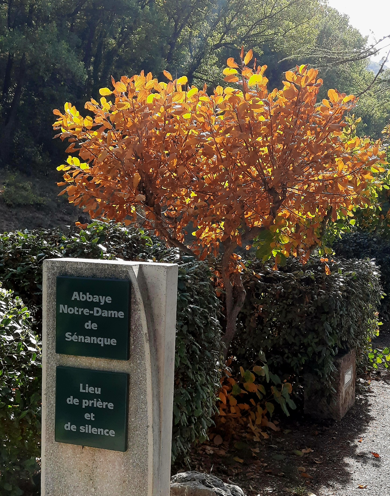 Photo n° 7 de l'avis de Cathy.a fait le 28/10/2022 à 20:20