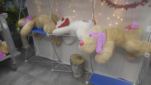 Florist «Anjeli Flowers», reviews and photos, 7643 W Belmont Ave, Elmwood Park, IL 60707, USA