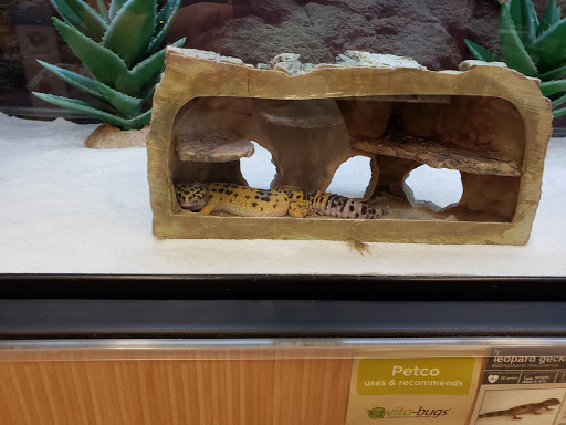 Pet Supply Store «Petco Animal Supplies», reviews and photos, 3055 N President George Bush Hwy, Garland, TX 75040, USA