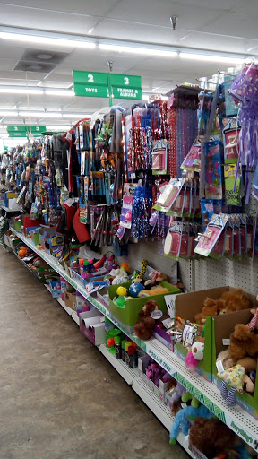 Dollar Store «Dollar Tree», reviews and photos, 433 E Sheridan St, Dania Beach, FL 33004, USA