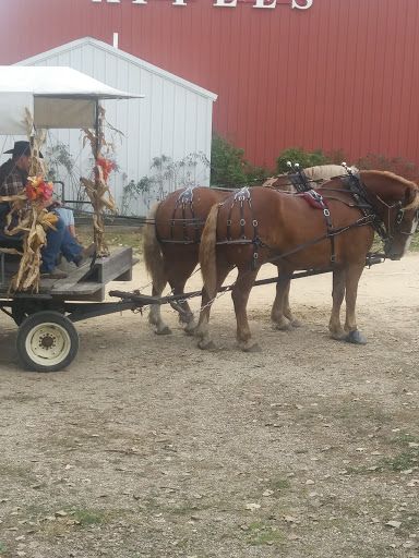 Produce Market «Welsh Heritage Farms», reviews and photos, 20758 528th Ave, Lake Crystal, MN 56055, USA