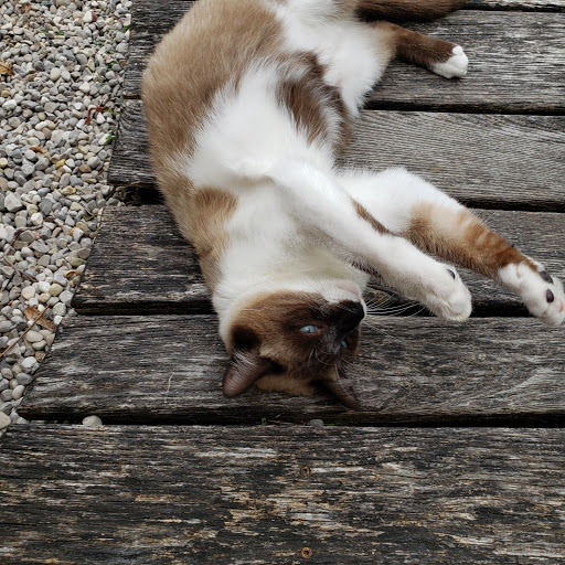 Explore tattoo ideas sad, creative tattoo ideas in Traverse City, available at Pinups & Needles