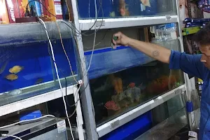 Sunil Fish Aquarium image