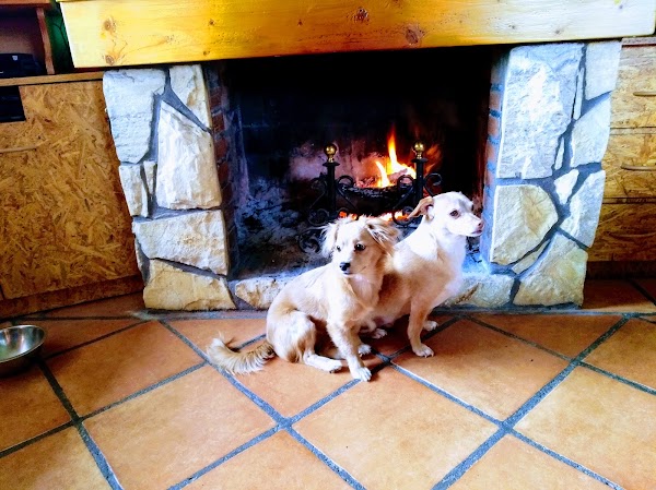 Imagen de Centro Veterinario las Platerías (1 de 4)