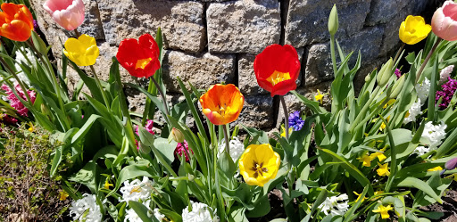 Harley-Davidson Dealer «Zips Mackinaw City H-D», reviews and photos