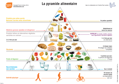 Optimize Cédric Boucamus à Arles
