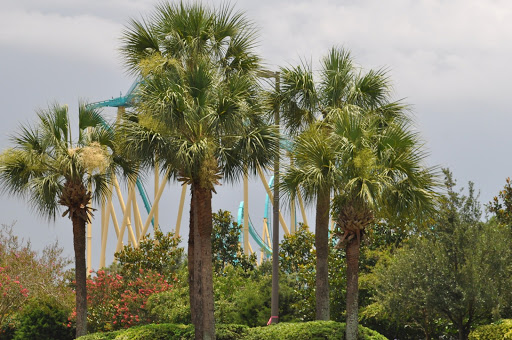 Water Park «Aquatica», reviews and photos, 5800 Water Play Way, Orlando, FL 32821, USA