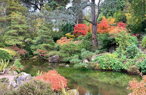 Kubota Garden