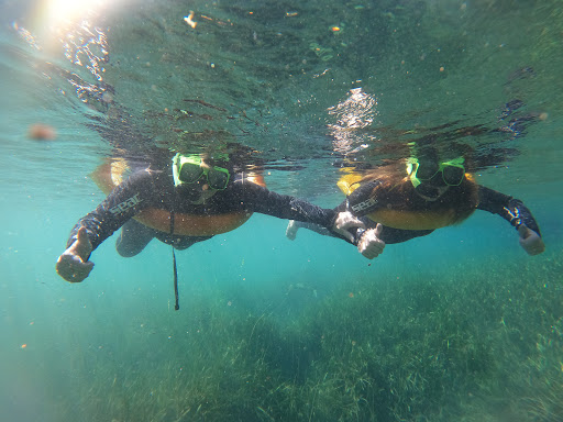 Tourist Attraction «Fun 2 Dive - Swim with Manatees», reviews and photos, 135 NE 3rd St, Crystal River, FL 34429, USA