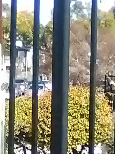 Cell Phone Store «AT&T Authorized Retailer», reviews and photos, 23639 Calabasas Rd, Calabasas, CA 91302, USA