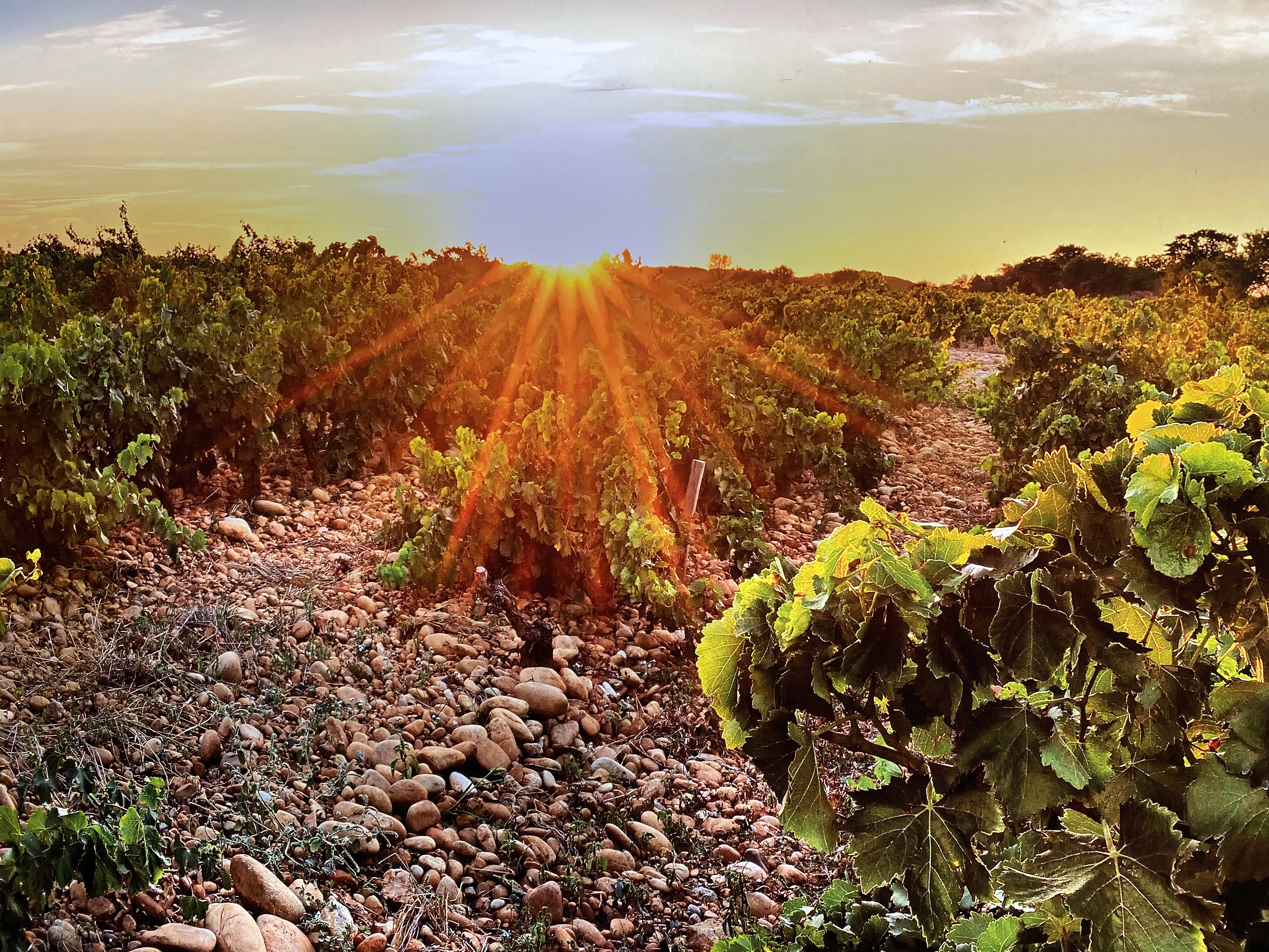 Photo n° 1 de l'avis de Marie.e fait le 13/05/2023 à 08:40