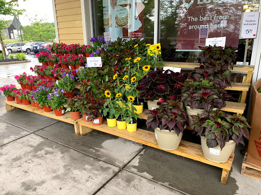 Grocery Store «Whole Foods Market», reviews and photos, 990 Iyannough Rd, Hyannis, MA 02601, USA