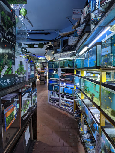 Aquarium «Pacific Aquarium & Plant Inc», reviews and photos, 46 Delancey St #1, New York, NY 10002, USA