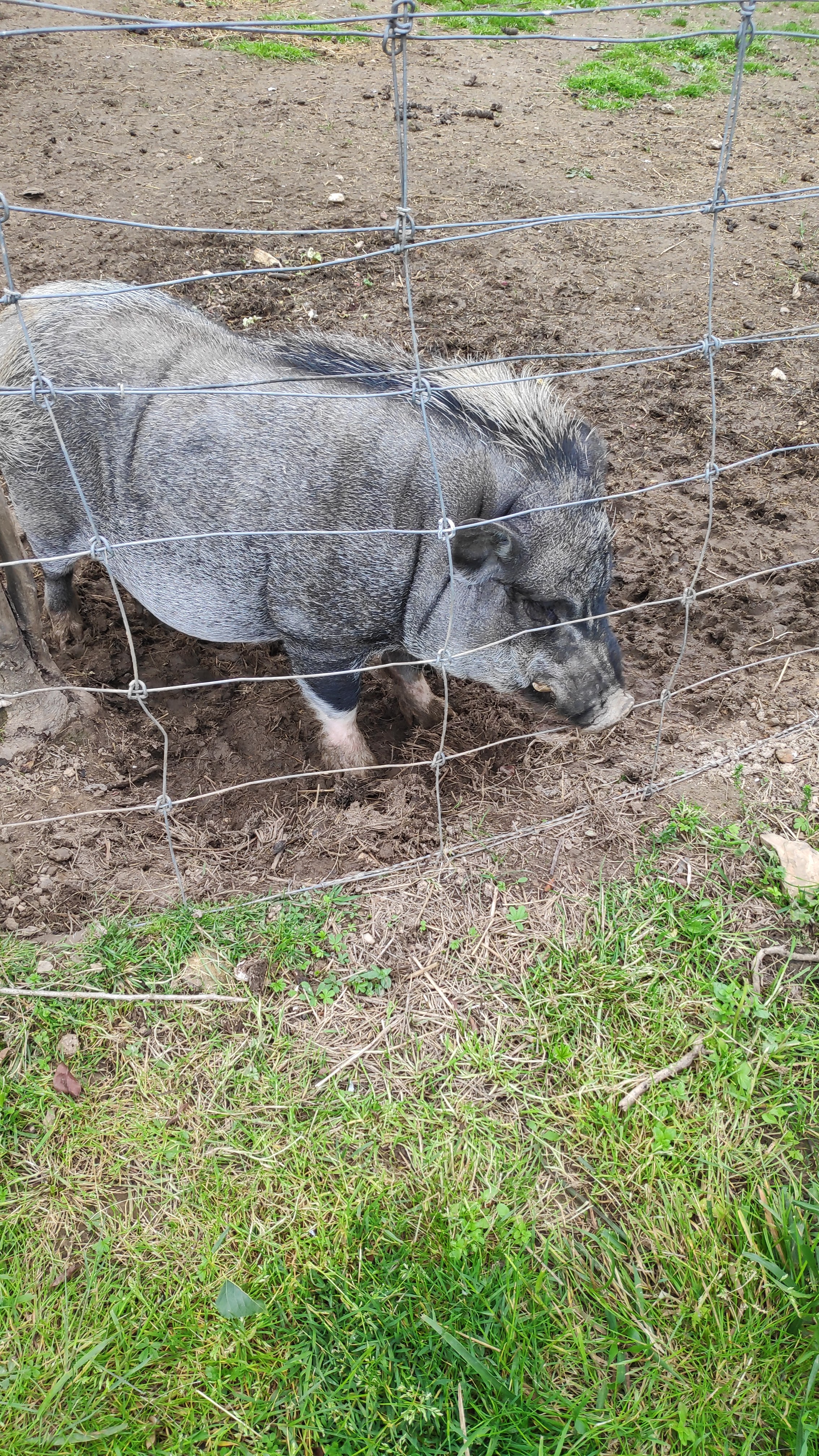 Photo n° 1 de l'avis de Christelle.i fait le 11/05/2019 à 18:03