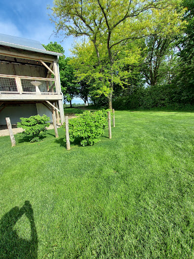 Wedding Venue «Hidden Vineyard Wedding Barn», reviews and photos, 6337 Snyder Rd, Berrien Springs, MI 49103, USA