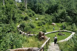 Jurkiškis River Trail image