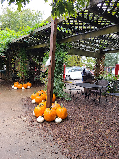 Orchard «Curtis Orchard & Pumpkin Patch», reviews and photos, 3902 S Duncan Rd, Champaign, IL 61822, USA