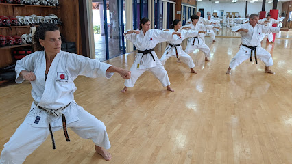 Japan Karate-Do International