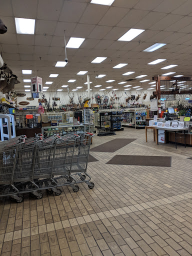 Sporting Goods Store «Kames Sports», reviews and photos, 8516 Cleveland Ave NW, North Canton, OH 44720, USA