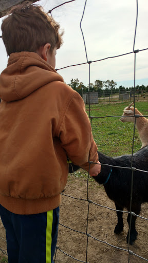 Christmas Tree Farm «Piney Acres», reviews and photos, 1115 E 1000 N, Fortville, IN 46040, USA