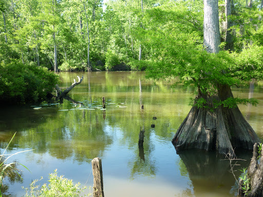 Fishing Camp «Becks Lake Fish Camp», reviews and photos, 2020 Becks Lake Rd, Cantonment, FL 32533, USA