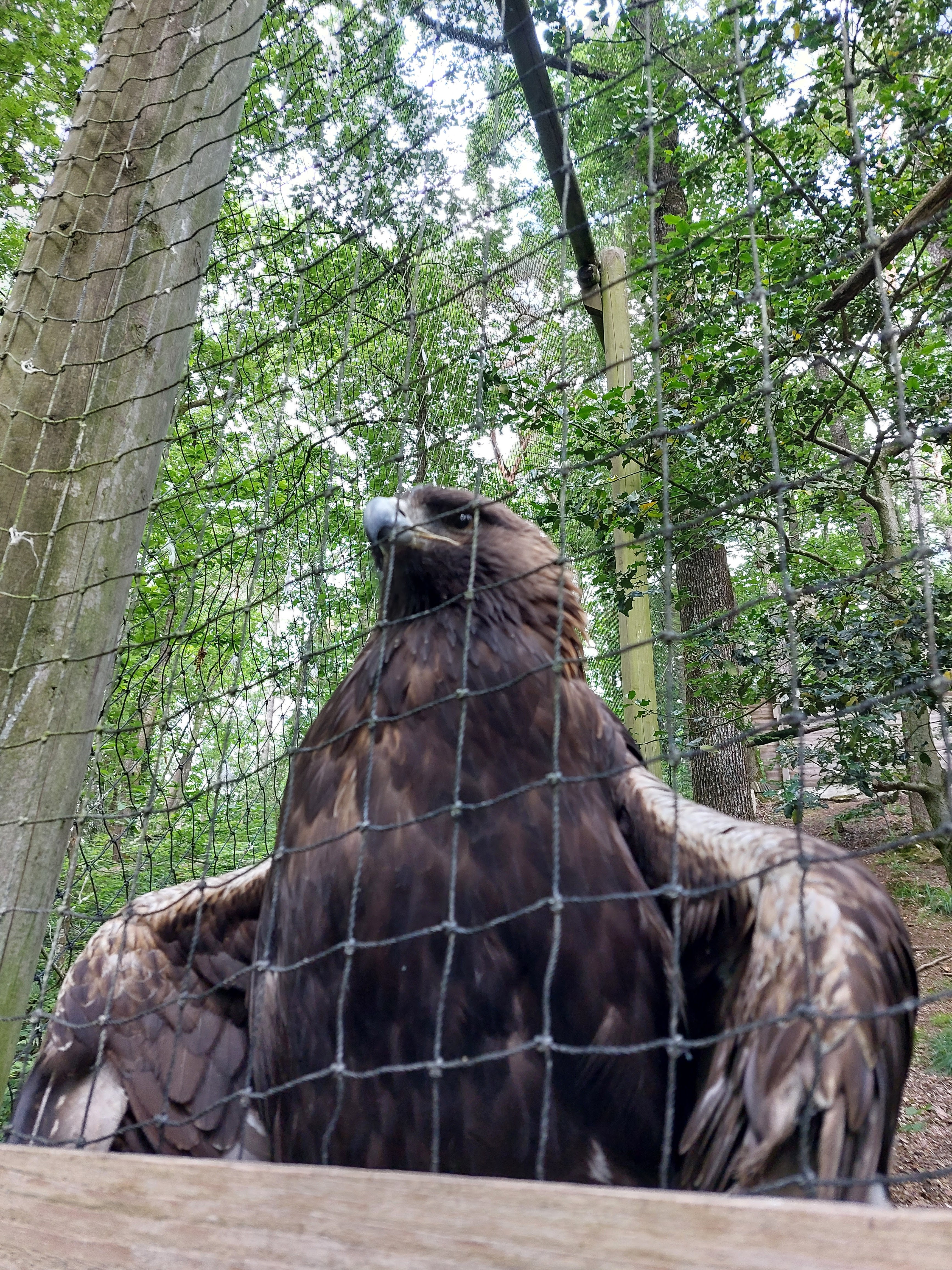 Photo n° 3 de l'avis de Agent.C fait le 31/05/2022 à 08:02