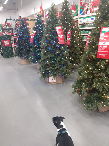 Home Improvement Store «The Home Depot», reviews and photos, 1500 Rome Hwy, Cedartown, GA 30125, USA