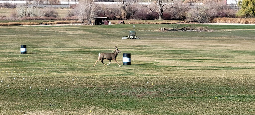 Public Golf Course «Round Valley Golf Course», reviews and photos, 1875 Round Valley Rd, Morgan, UT 84050, USA