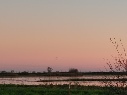 Nature Preserve «Woodbridge Ecological Reserve», reviews and photos, 7730 W Woodbridge Rd, Lodi, CA 95242, USA