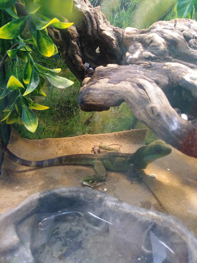 Pet Store «Pet Cove», reviews and photos, 820 E Center St, Kingsport, TN 37660, USA