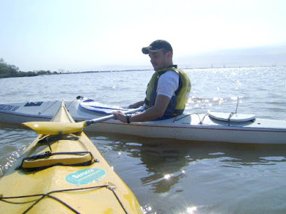 Neco Kayak (Escuela & Alquiler De Kayak)