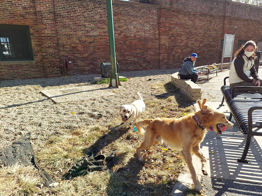 Park «Chicago Park District», reviews and photos, 5505 W Berteau Ave, Chicago, IL 60641, USA