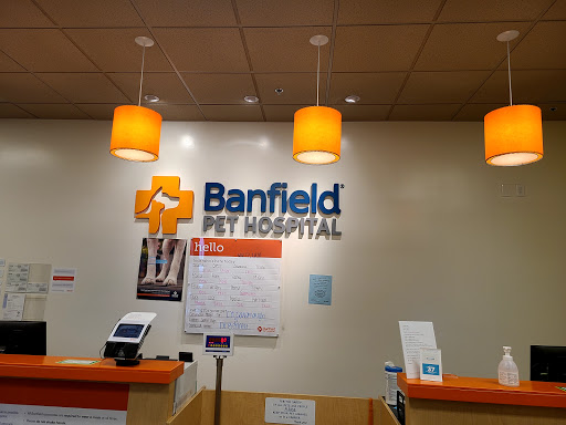 Banfield Pet Hospital image