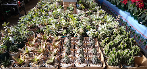 Home Improvement Store «The Home Depot», reviews and photos, 7001 Crestwood Blvd #1300, Birmingham, AL 35210, USA