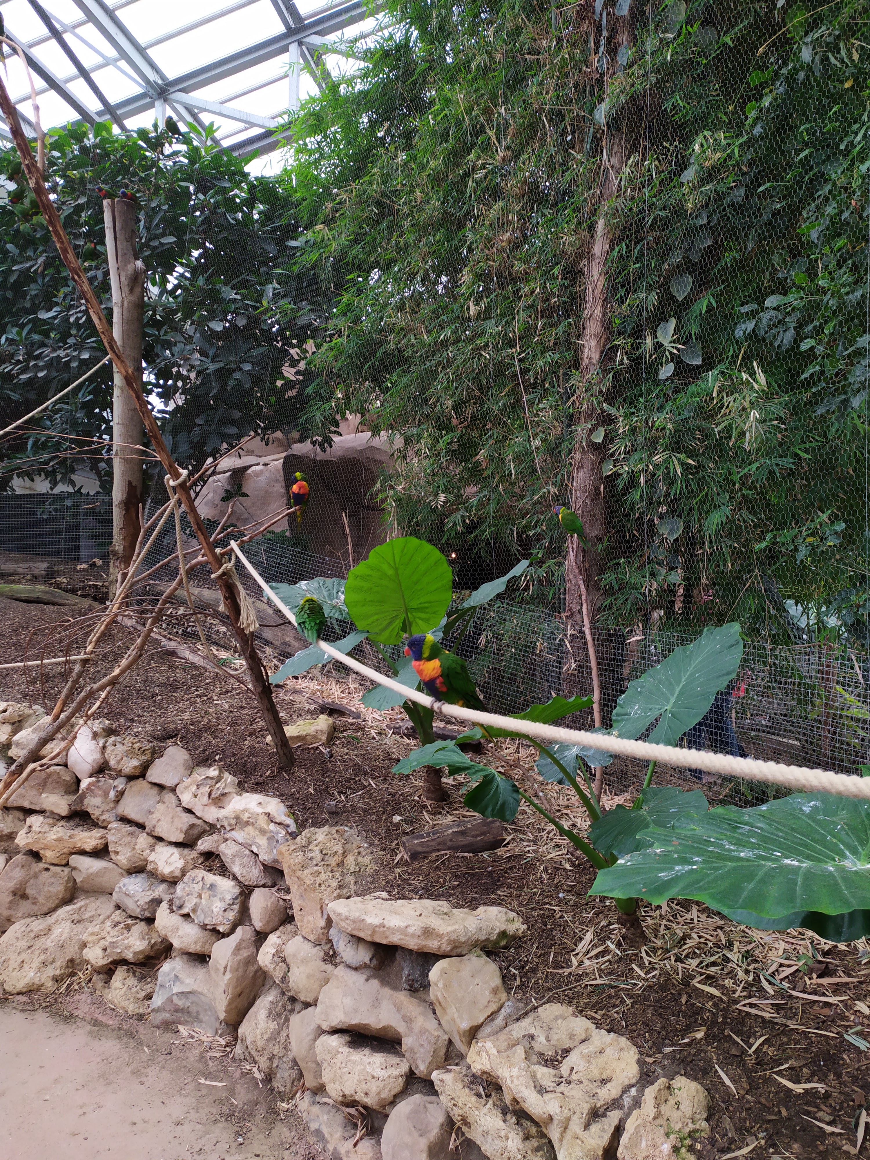 Photo n° 3 de l'avis de Gaël.n fait le 02/08/2019 à 23:54