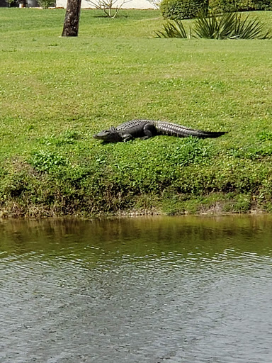 Golf Club «Meadowood Golf and Tennis Club», reviews and photos, 9425 Meadowood Dr, Fort Pierce, FL 34951, USA