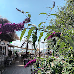 Photo n°1 de l'avis de Silke.a fait le 29/07/2023 à 18:59 sur le  Bar dü Mar à Hüde