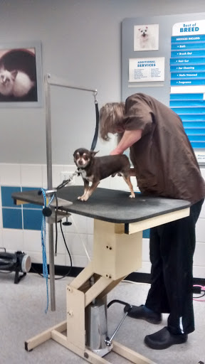 Pet Supply Store «Petco Animal Supplies», reviews and photos, 200 Edwards Blvd b, Lake Geneva, WI 53147, USA