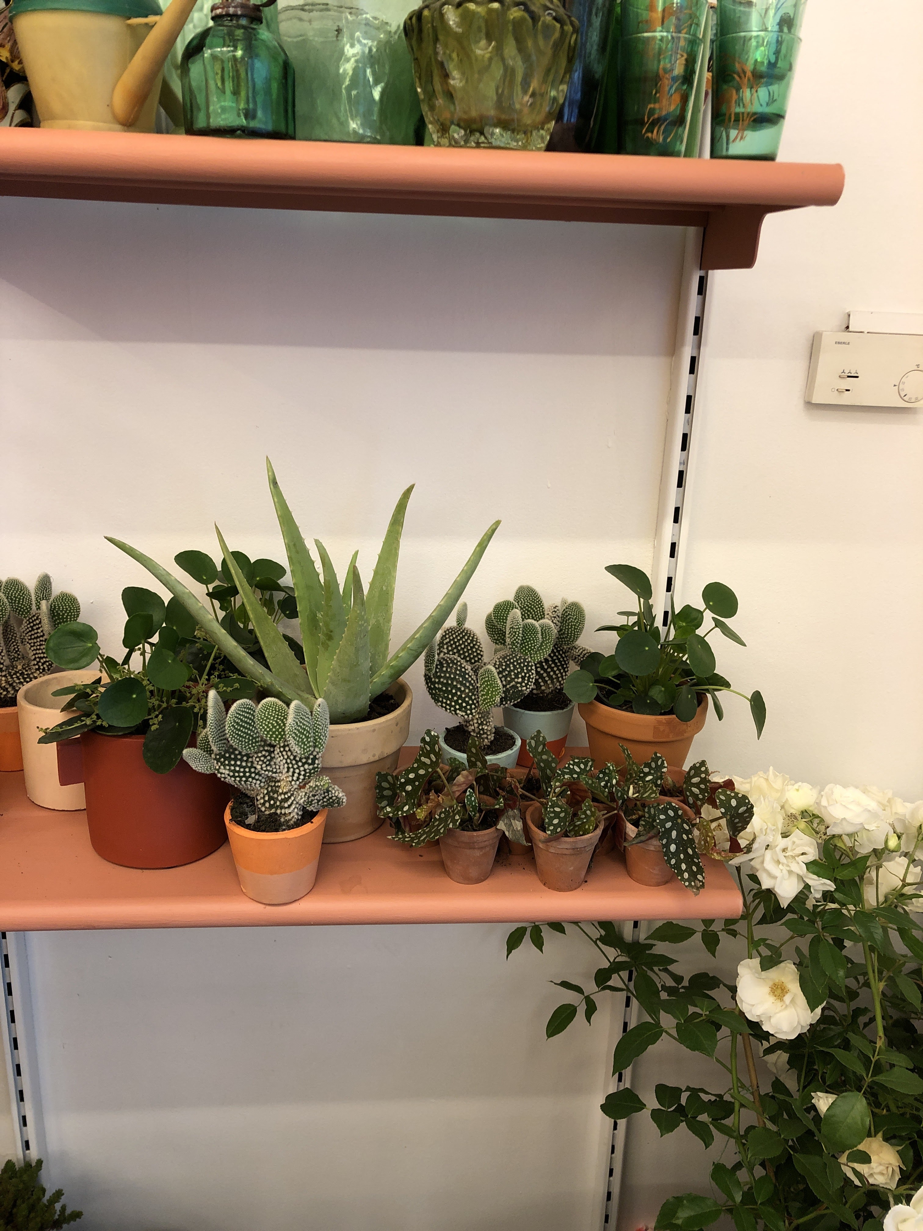 Photo n° 2 de l'avis de Duncan.i fait le 05/06/2019 à 08:45