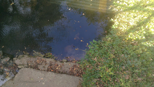 Public Golf Course «Candler Park Golf Course», reviews and photos, 585 Candler Park Dr NE, Atlanta, GA 30307, USA