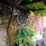 Photo n°12 de l'avis de Primo.a fait le 17/10/2020 à 19:12 sur le  Agriturismo Marzanella à Santa Maria in Castello