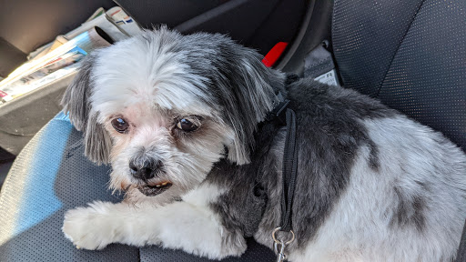 Pet Store «Back To Nature Pets & Grooming», reviews and photos, 110 N Dupont Hwy, New Castle, DE 19720, USA