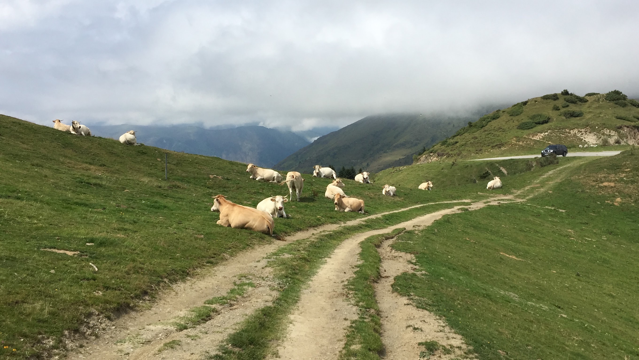 Photo n° 1 de l'avis de Jonatan.o fait le 16/08/2017 à 19:38
