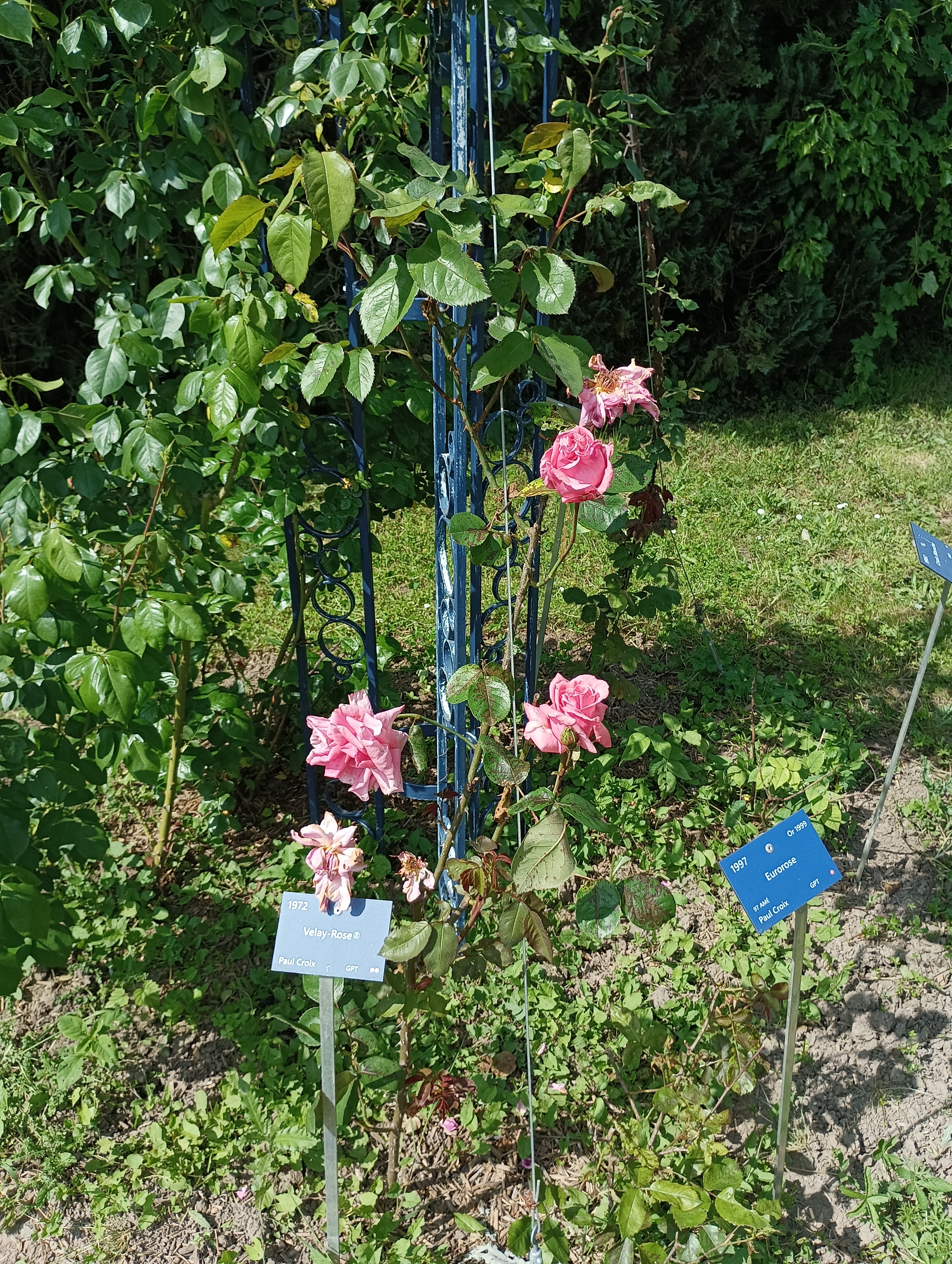 Photo n° 18 de l'avis de Laurie.. fait le 01/06/2023 à 19:15