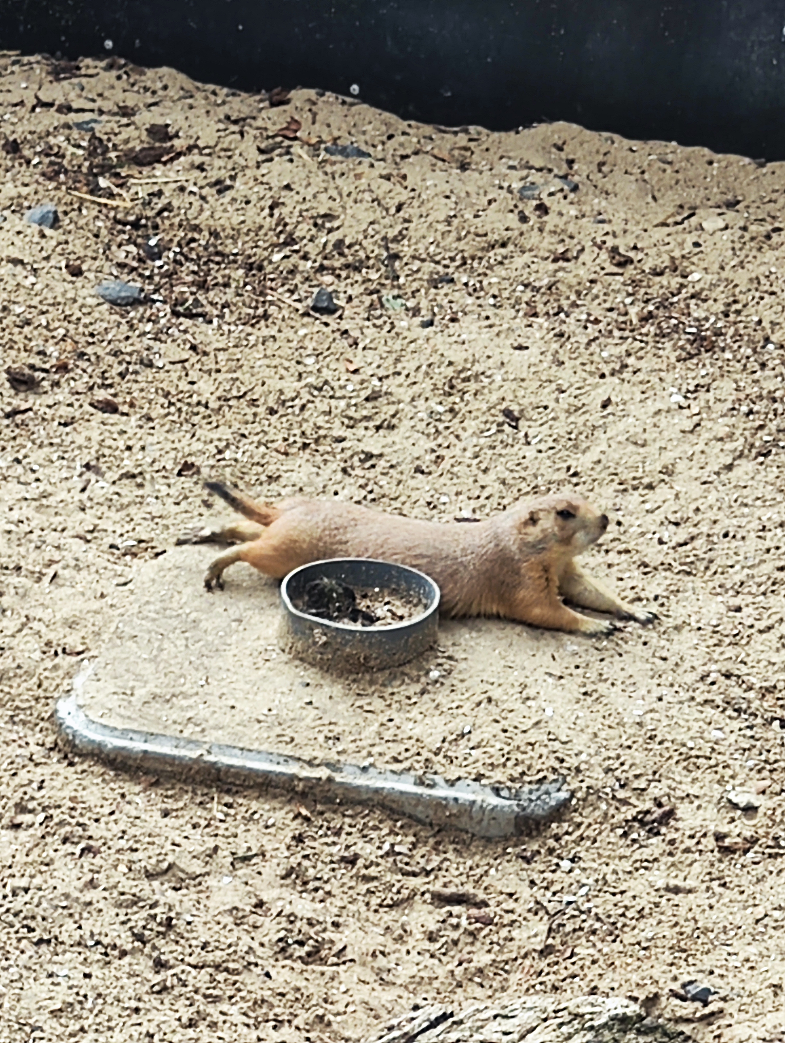 Photo n° 6 de l'avis de Aurelie.o fait le 03/08/2023 à 21:29