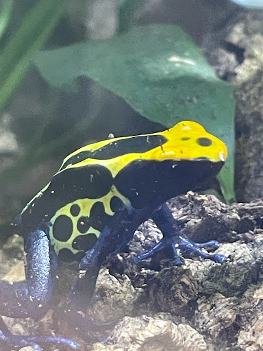 Pet Store «Birds & Beasts Pet Shop», reviews and photos, 35 Berkshire Dr # 18, Crystal Lake, IL 60014, USA