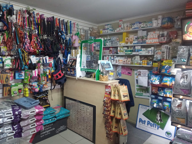 Pet Shop & Veterinaria Puppy´s - Temuco