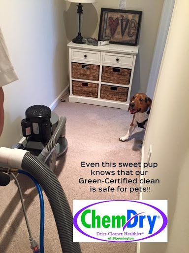 Carpet Cleaning Service «Chem-Dry of Bloomington», reviews and photos, 1682 E Whisnand Rd, Bloomington, IN 47408, USA