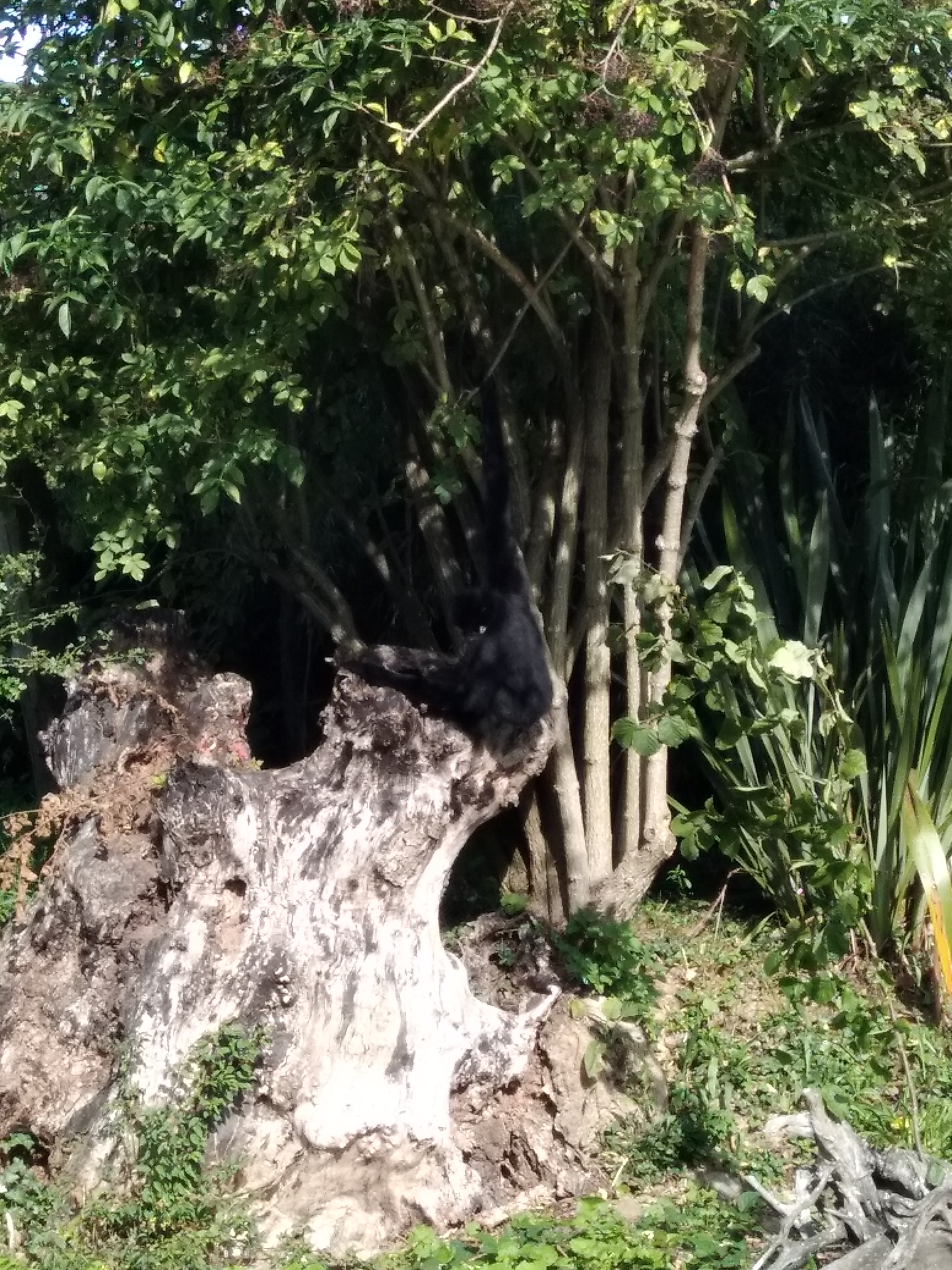 Photo n° 6 de l'avis de carine.a fait le 25/08/2019 à 20:31